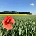 Kamenny Dum Bezdedice-machuv Kraj