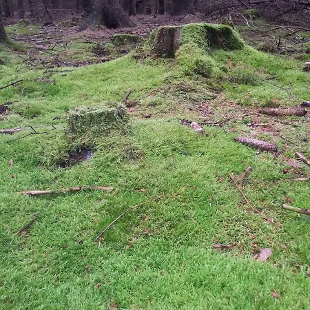 Kamenny Dum Bezdedice-machuv Kraj Ferienhaus Bezdedice