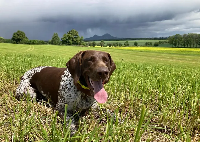 Kamenny Dum Bezdedice-machuv Kraj Vakantiehuis Bezdedice