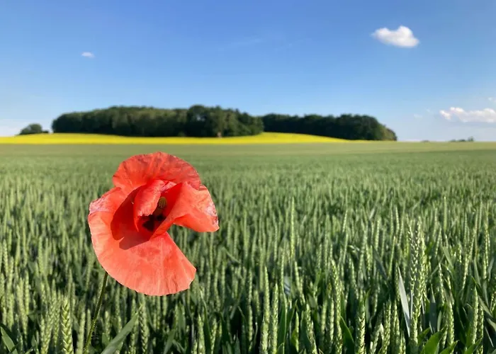 Kamenny Dum Bezdedice-machuv Kraj