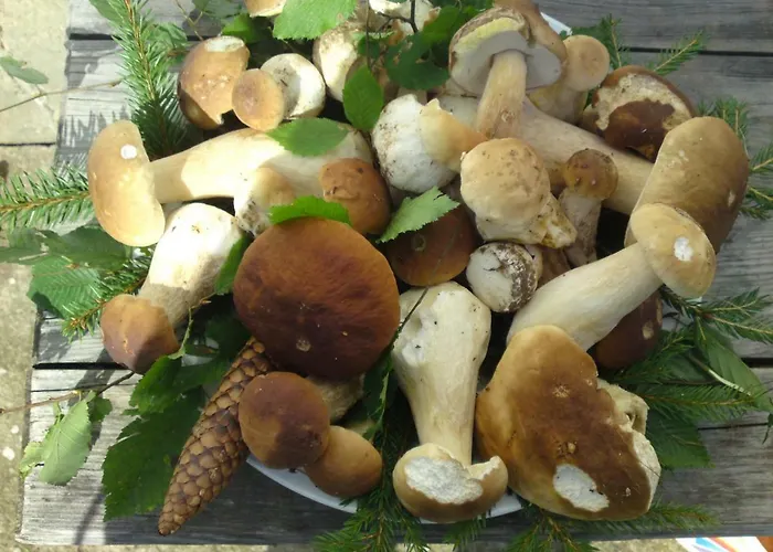 Vakantiehuis Kamenny Dum Bezdedice-machuv Kraj