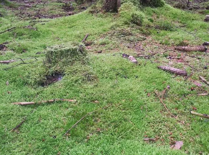 Kamenny Dum Bezdedice-machuv Kraj Vakantiehuis Bezdedice