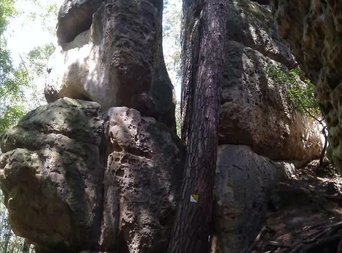 Kamenny Dum Bezdedice-machuv Kraj Bezdedice